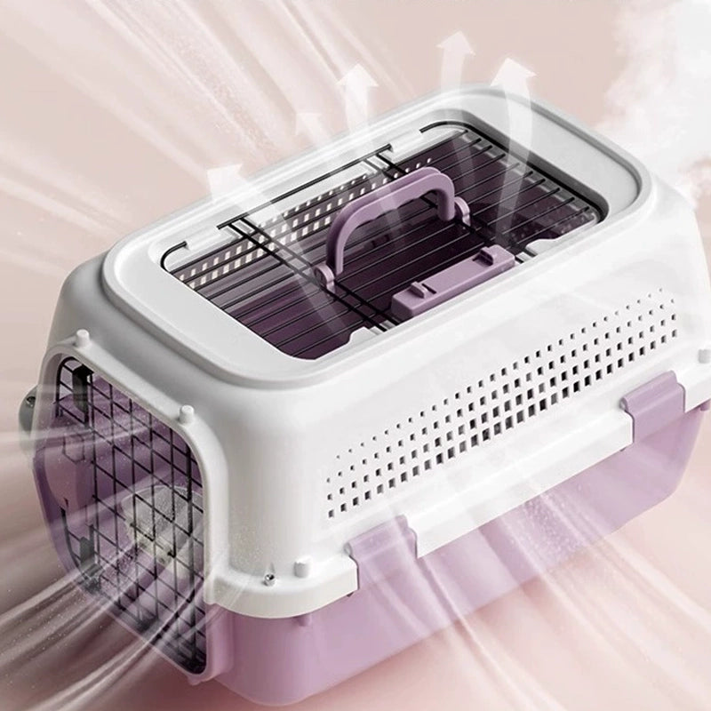 IATA compliant Large pet air cargo box for dogs and cats