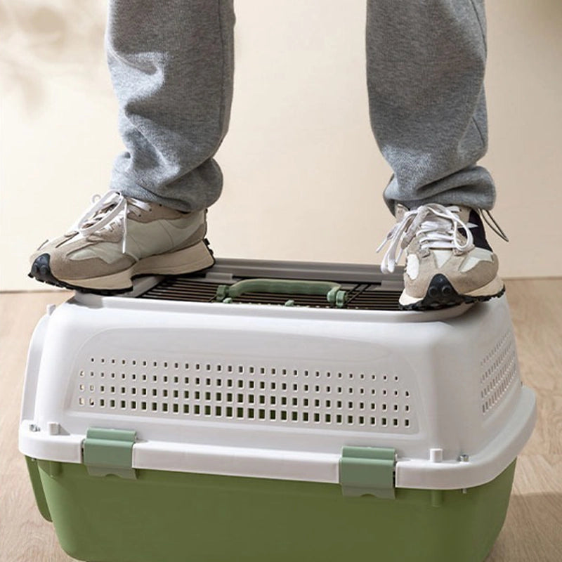 IATA compliant Large pet air cargo box for dogs and cats