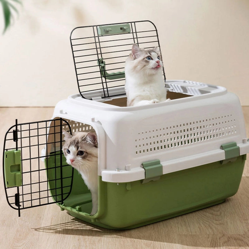IATA compliant Large pet air cargo box for dogs and cats