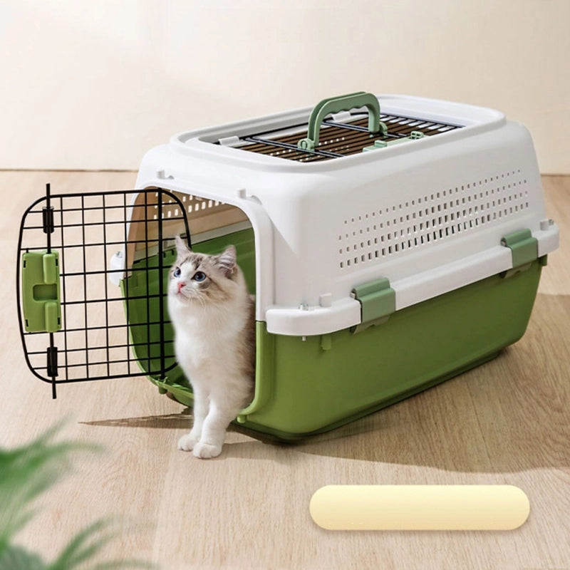 IATA compliant Large pet air cargo box for dogs and cats