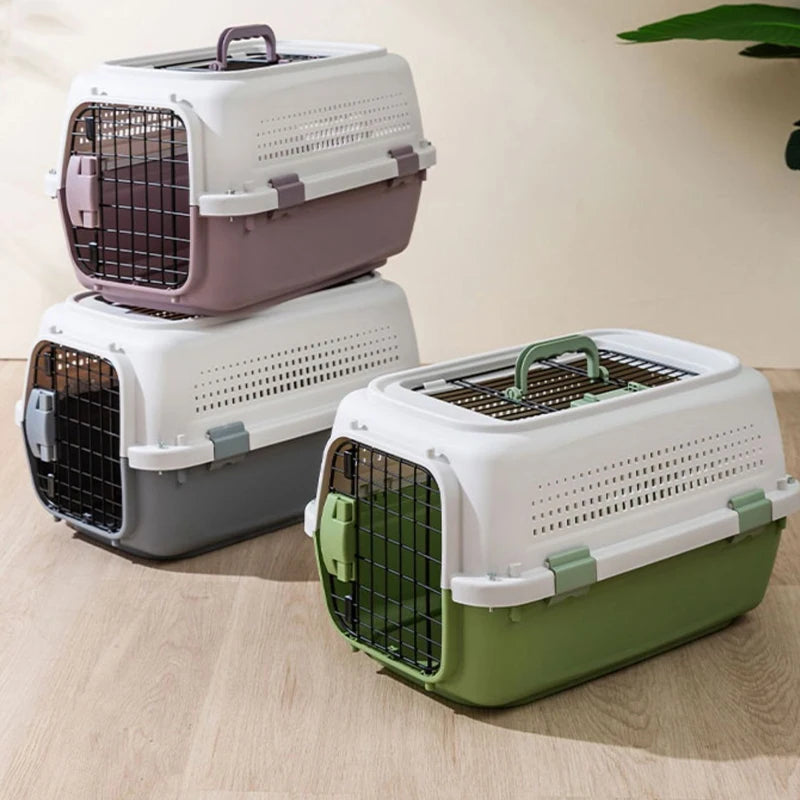 IATA compliant Large pet air cargo box for dogs and cats
