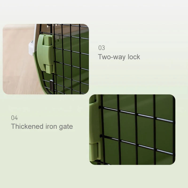 IATA compliant Large pet air cargo box for dogs and cats