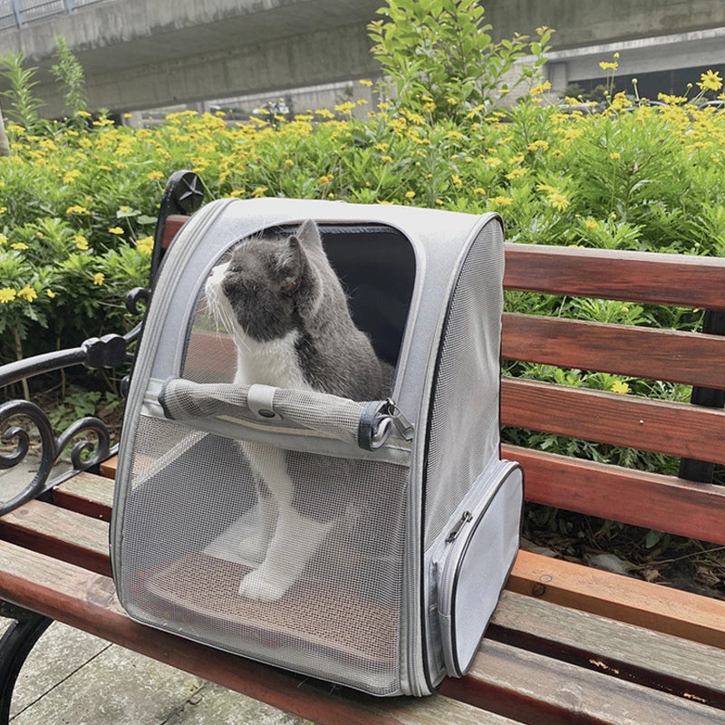 Popular three-sided mesh highly breathable pet backpack