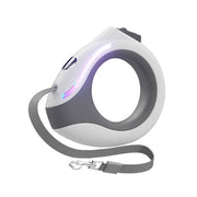 Ring luminous dog walking rope dog automatic retractable leash
