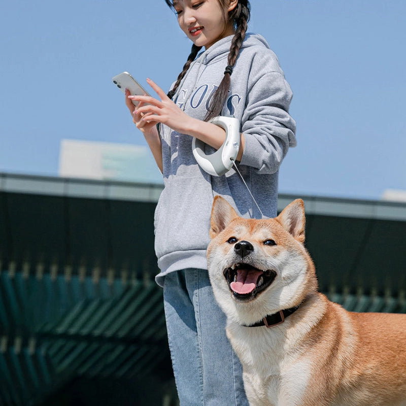 Ring luminous dog walking rope dog automatic retractable leash