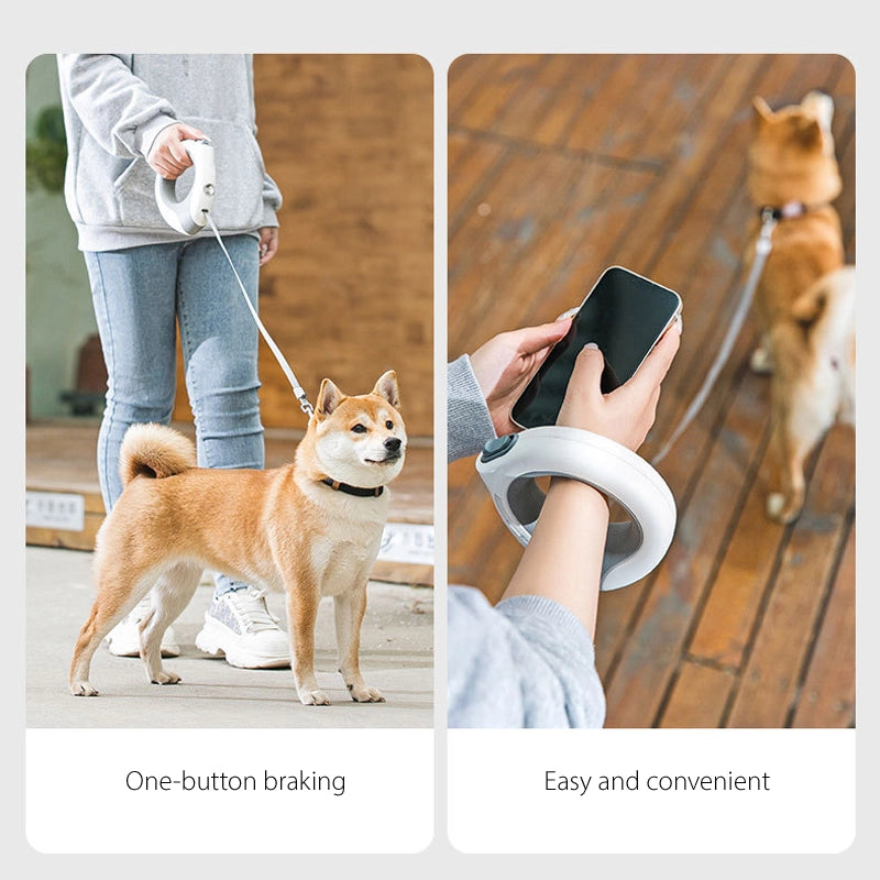 Ring luminous dog walking rope dog automatic retractable leash