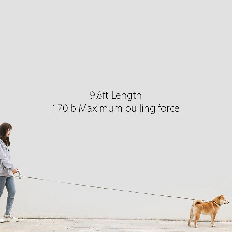 Ring luminous dog walking rope dog automatic retractable leash