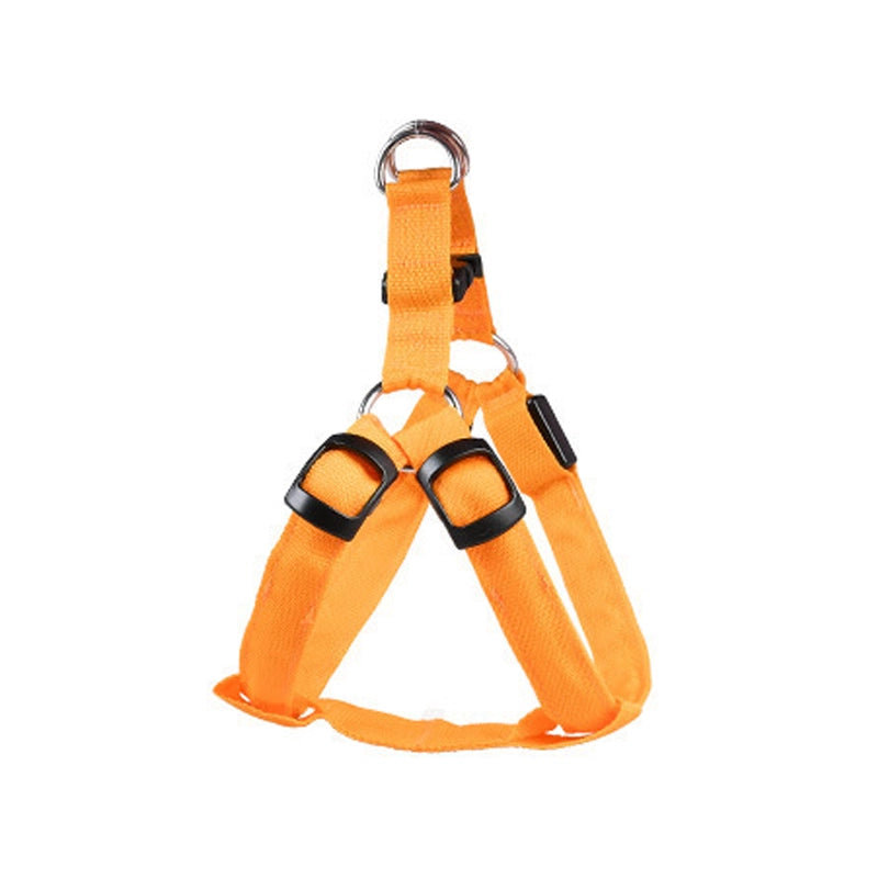Small pet dog light-up harness