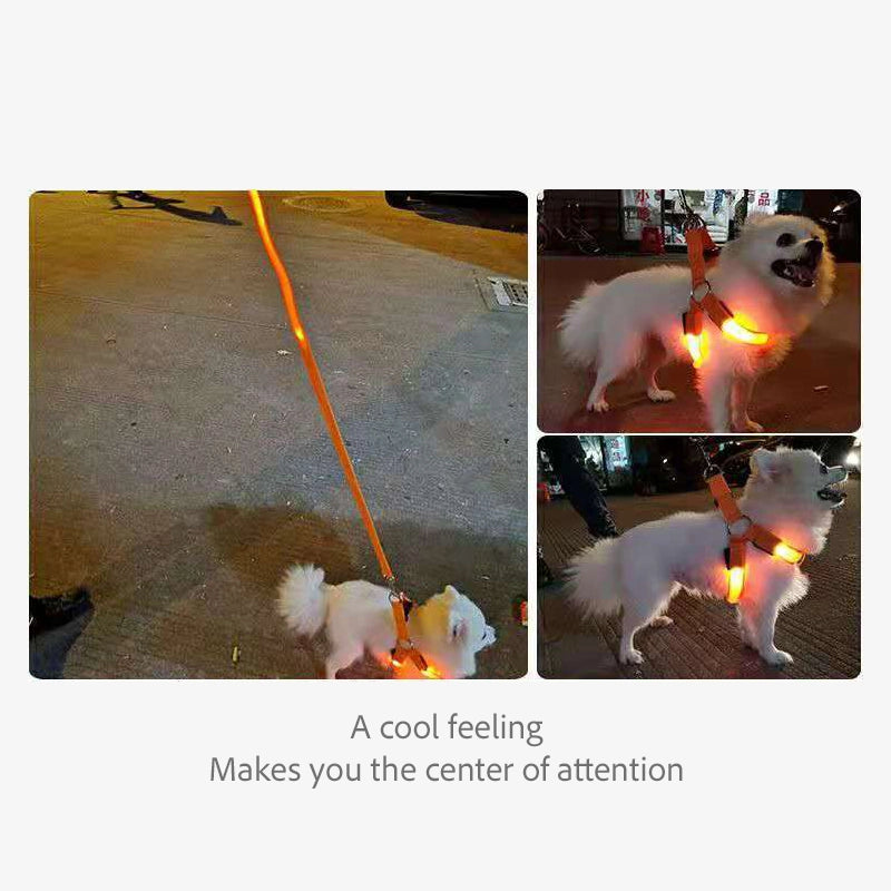 Small pet dog light-up harness